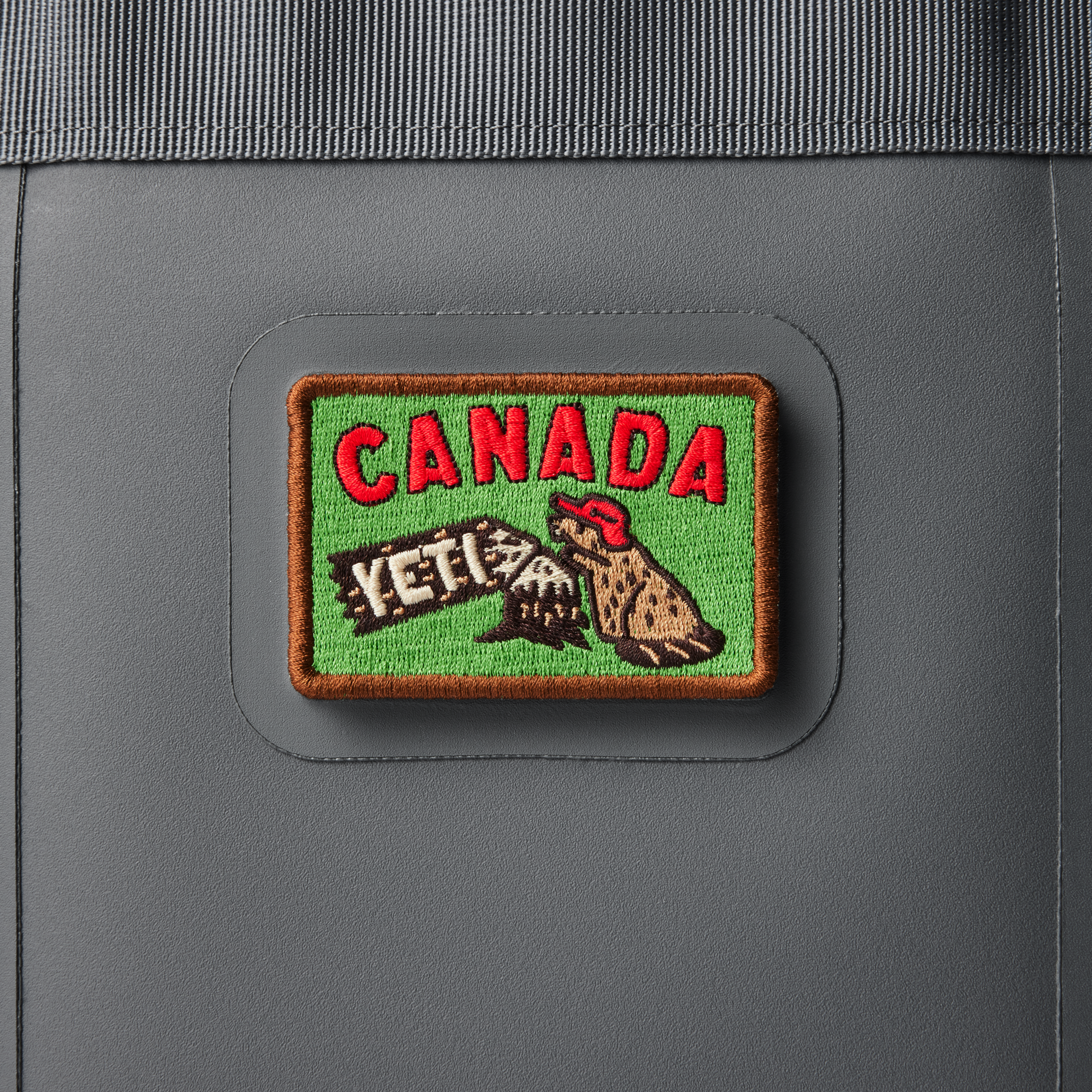 Castor du Canada, Castor, large