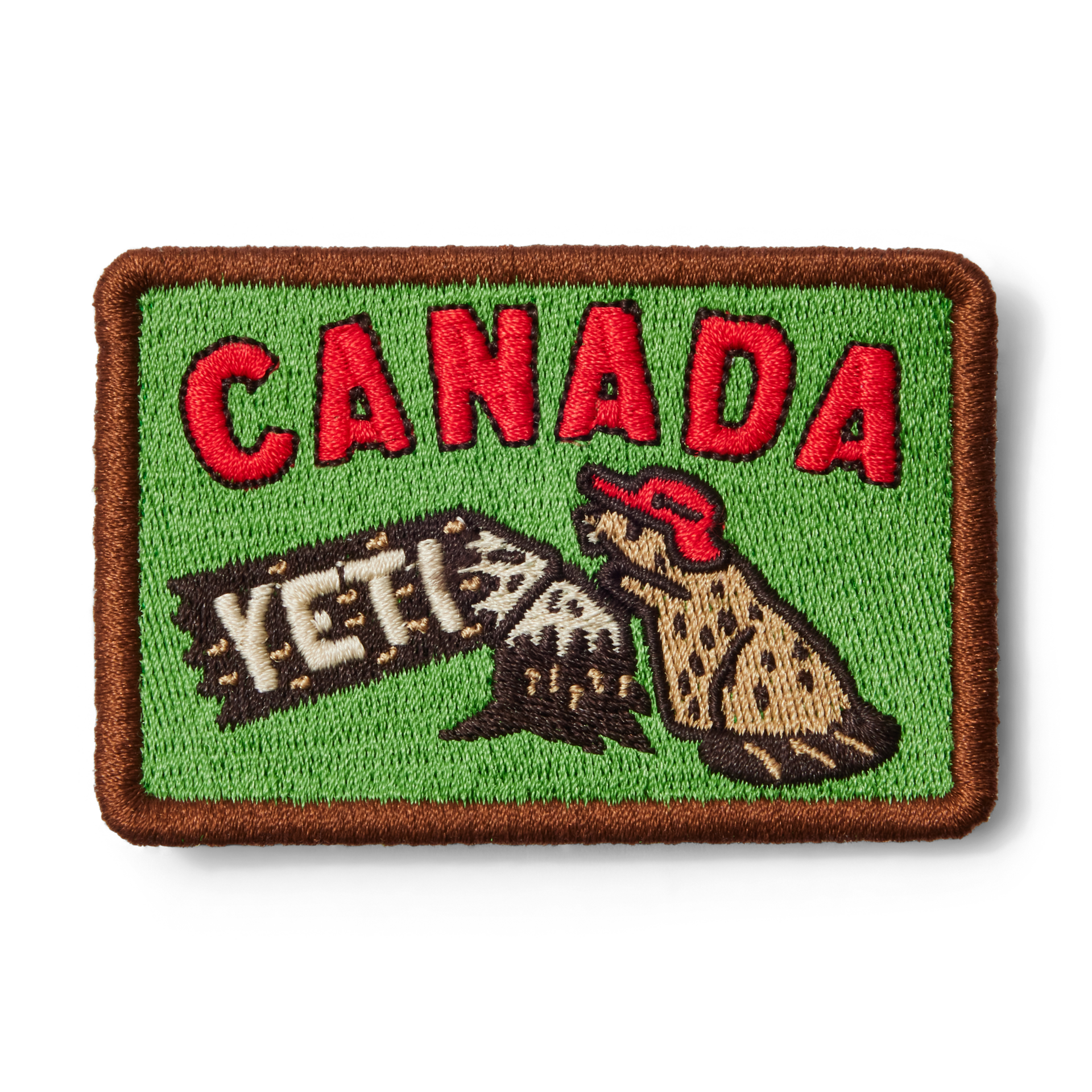 Castor du Canada, Castor, large