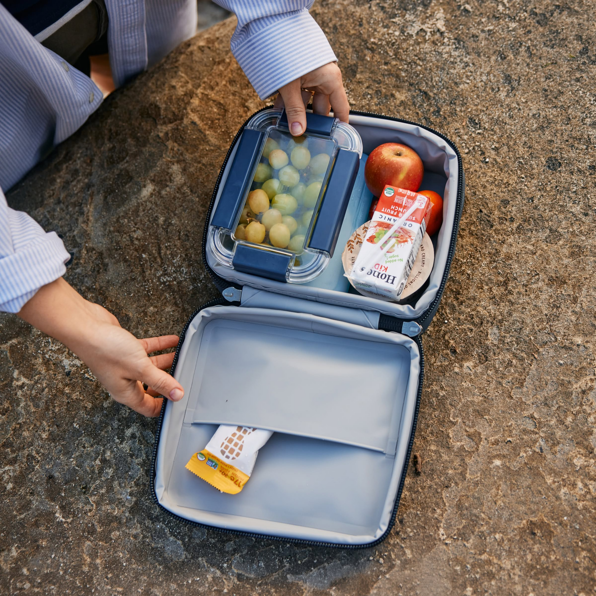Medium Plastic Food Storage, Navy, large