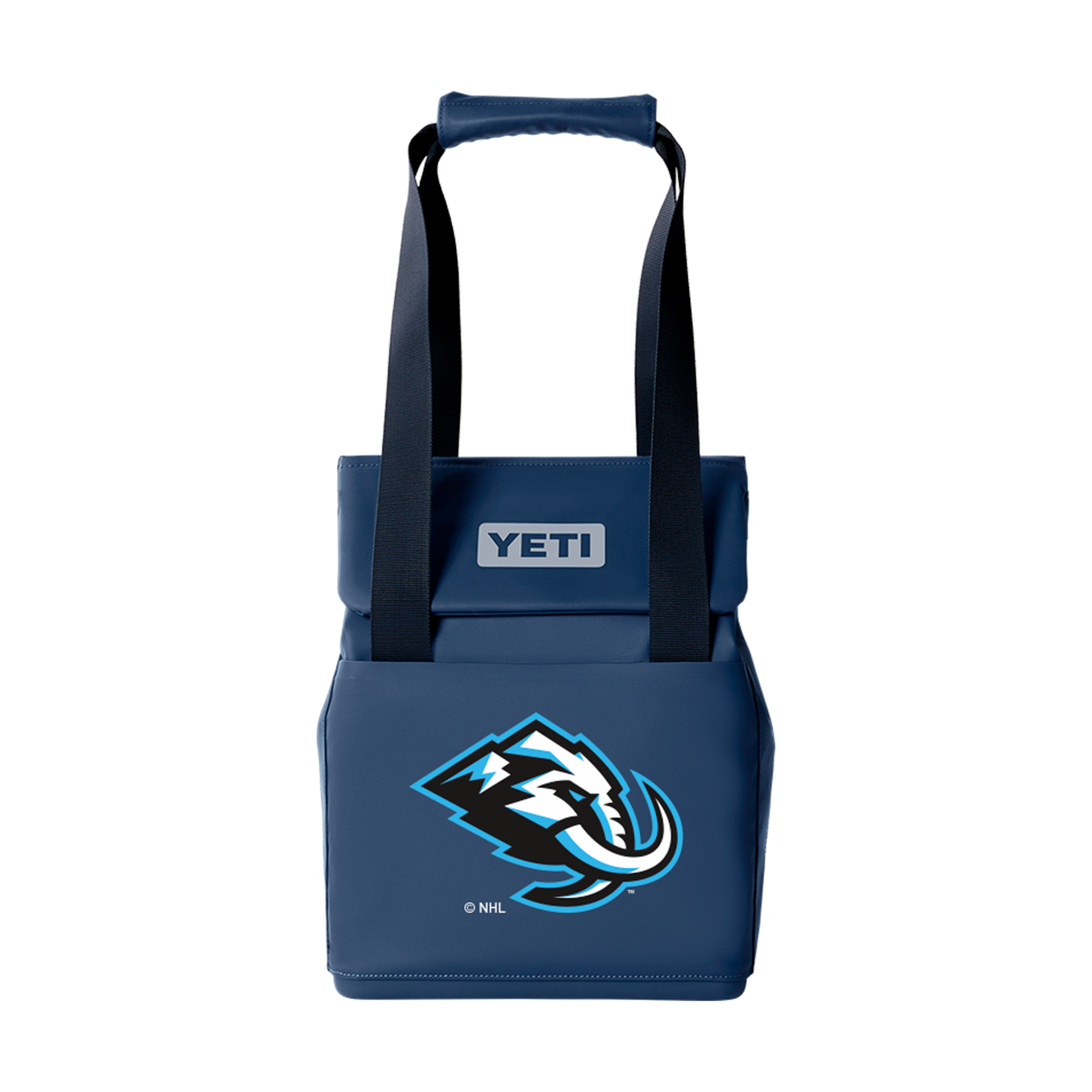 Daytrip&reg; 14L Insulated Tote Bag