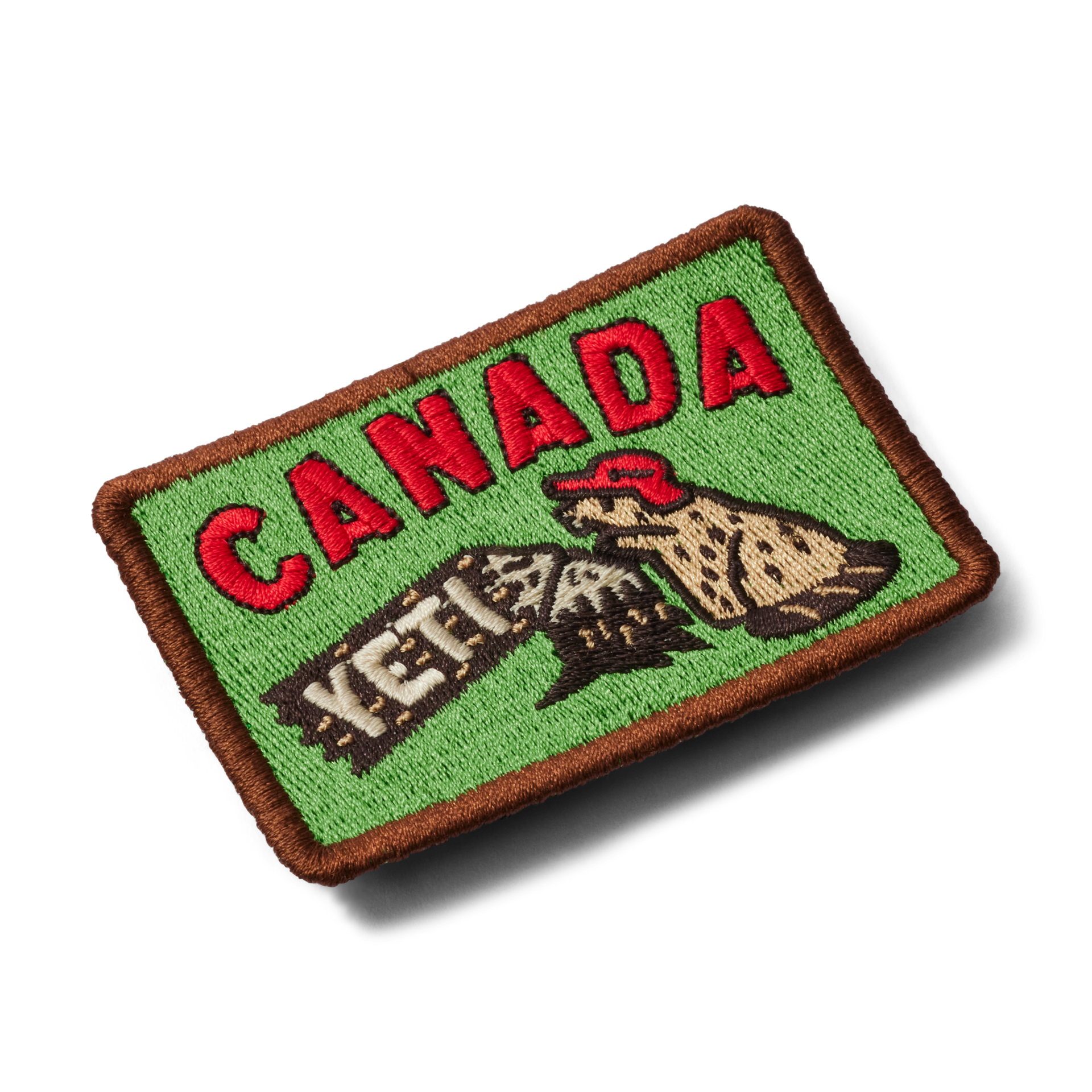 Castor du Canada, Castor, large