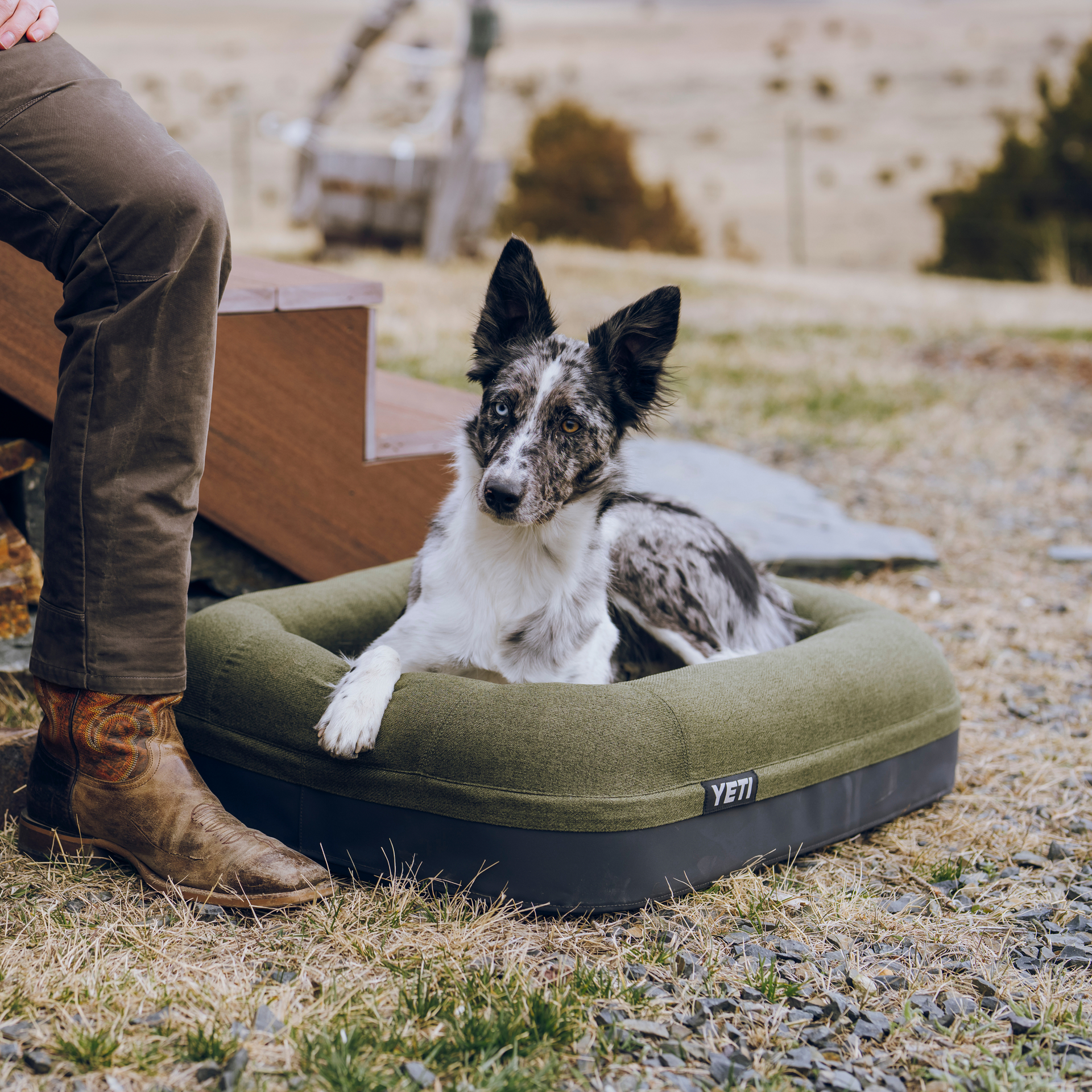 Dog Bed Small, Olive, large