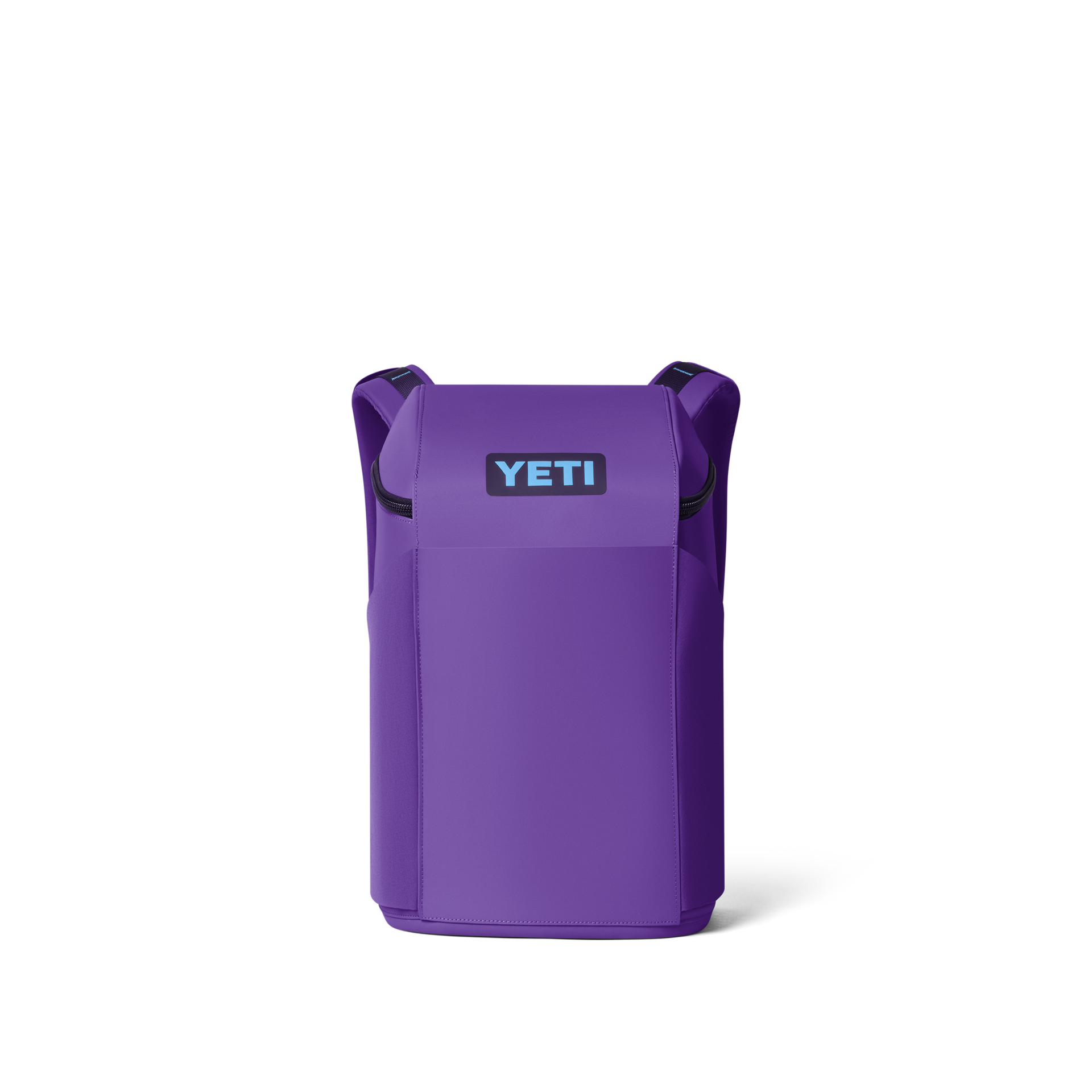 20L Insulated Backpack