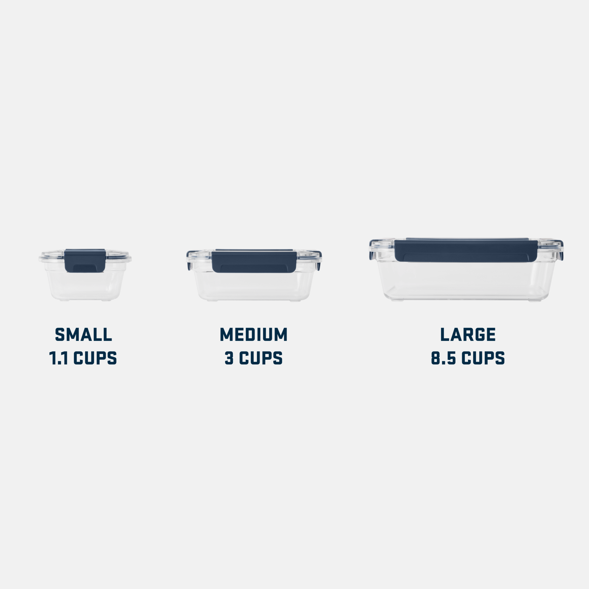 Food Storage Small, Clear, large