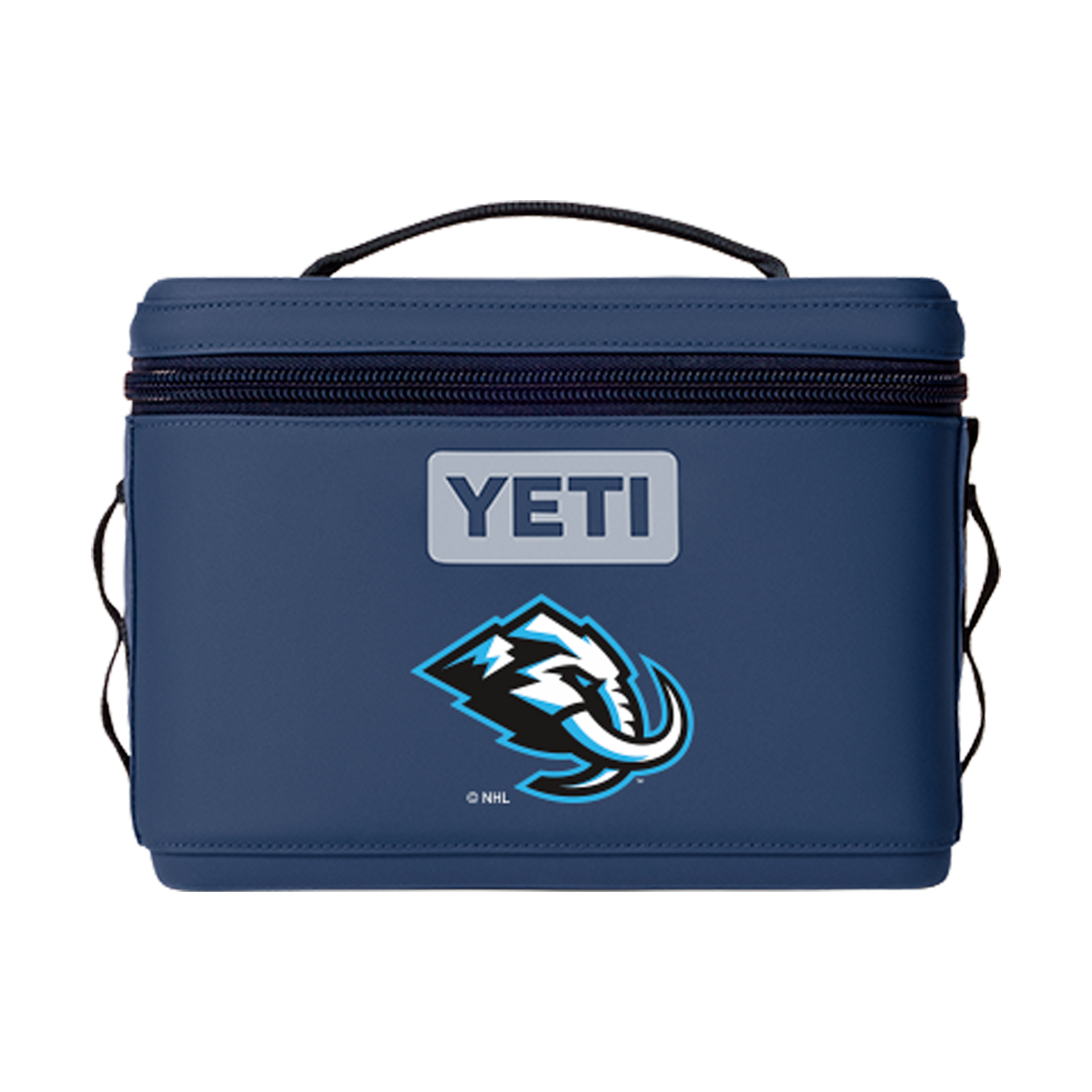 Daytrip&reg; 9L Insulated Box