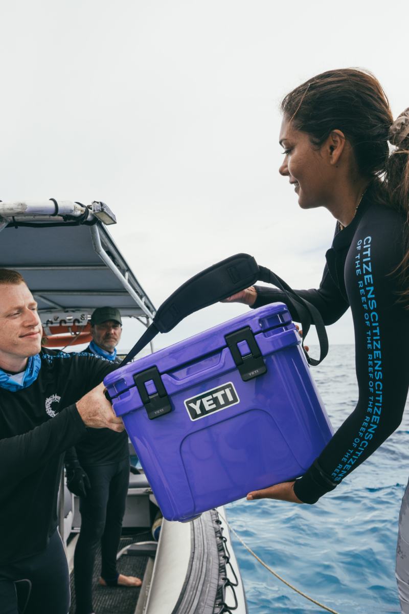 YETI Ultramarine Violet Color Collection