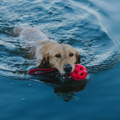 Product Feature Image