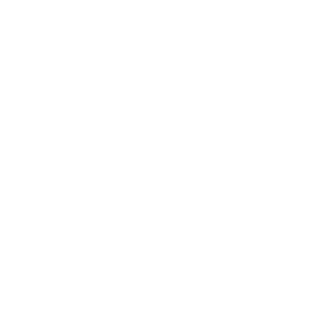 Pretty Wild