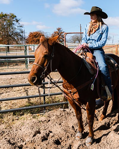 Roping Collection By Ambassador Jordan Fabrizio