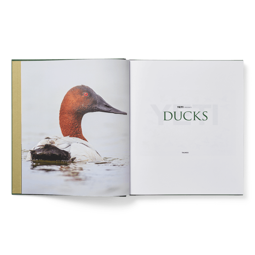 Ducks Coffee Table Book, Ducks Book, large