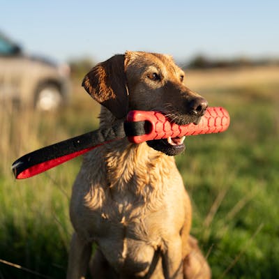 Product Feature Image