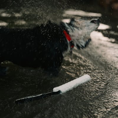 Product Feature Image