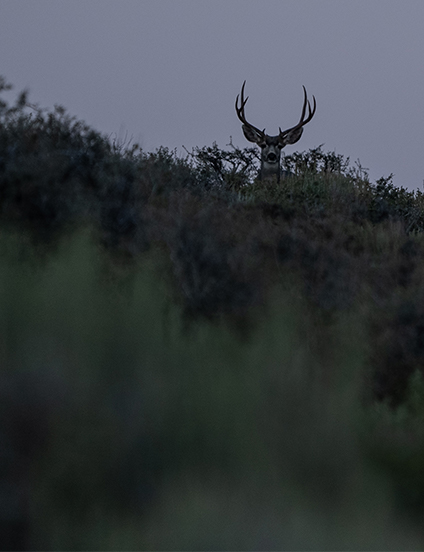 YETI Ambassador John Dudley