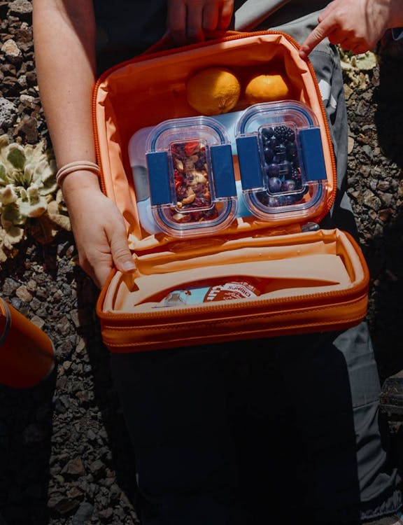 daytrip lunch box