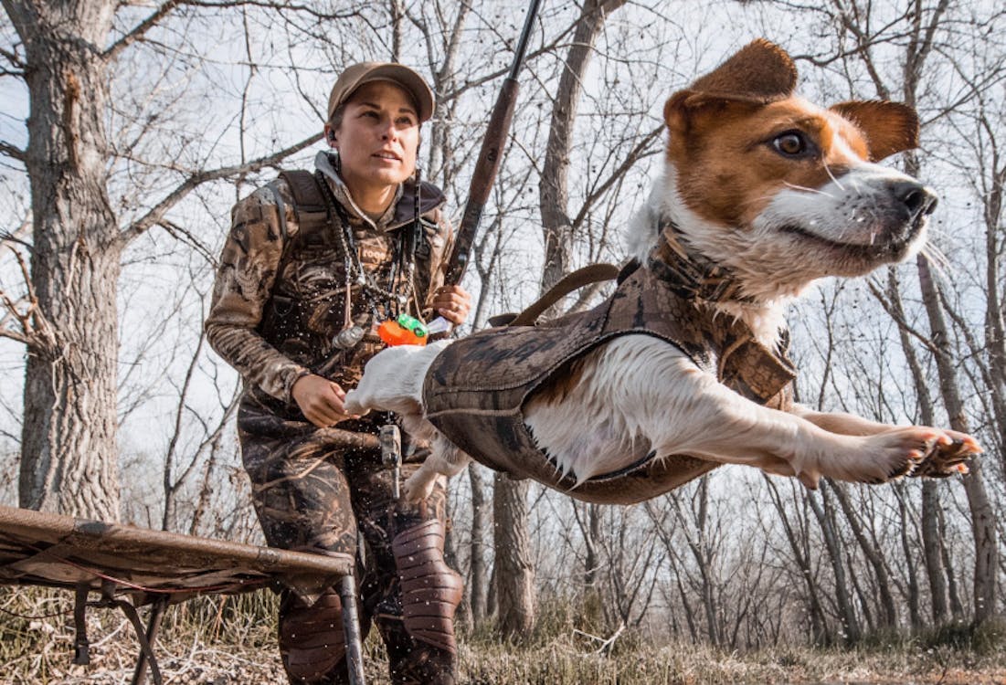Waterfowl dog training