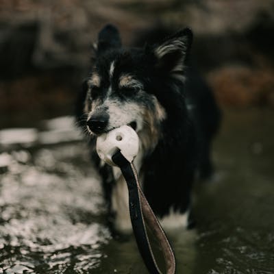 Product Feature Image