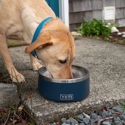 Boomer™ 8 Dog Bowl