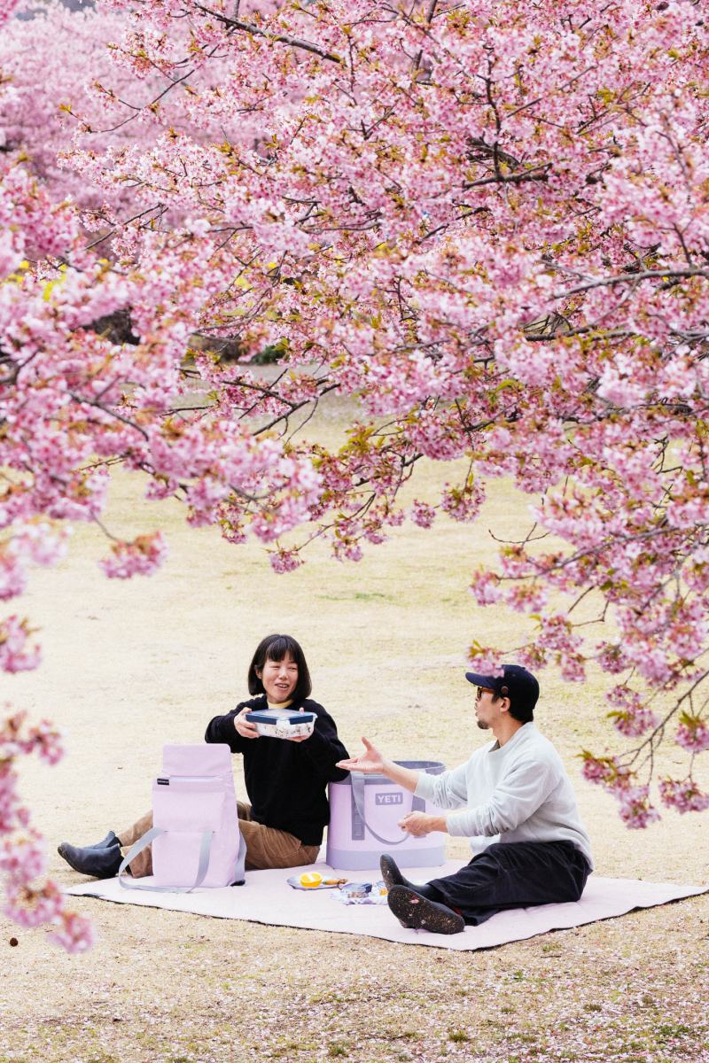 ■The tis■ CHERRY BLOSSOM SHEER SCRUNCH シュシュ BCCF78C1-607D-49DE-B87C-