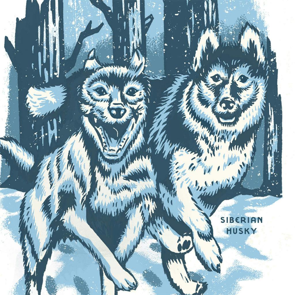 THE ATHLETES OF THE IDITAROD