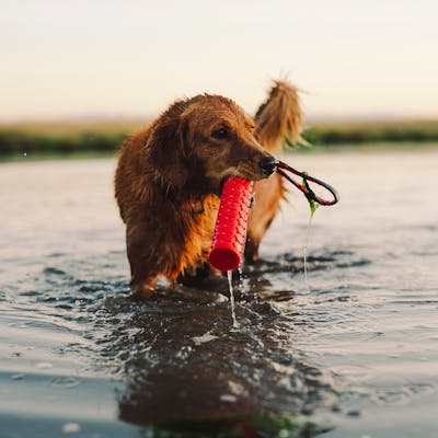 Product Feature Image