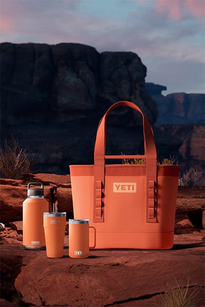 The New Canopy Collection