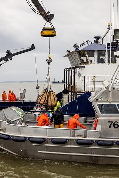 Hanging_Boat_Work