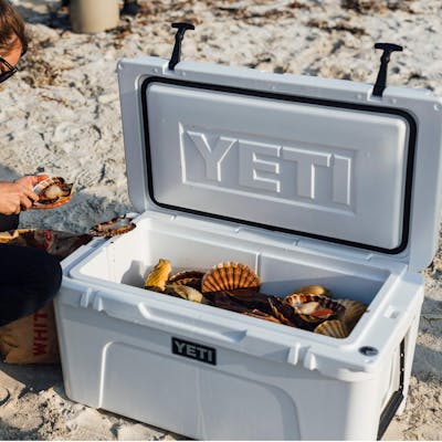 Product Feature Image