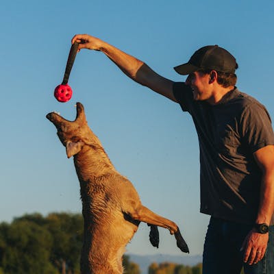 Product Feature Image