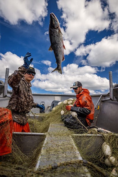 Stronger_Fish_Throw_And_Fish_Cooler