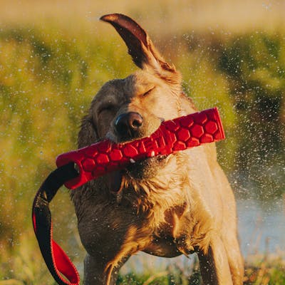 Product Feature Image