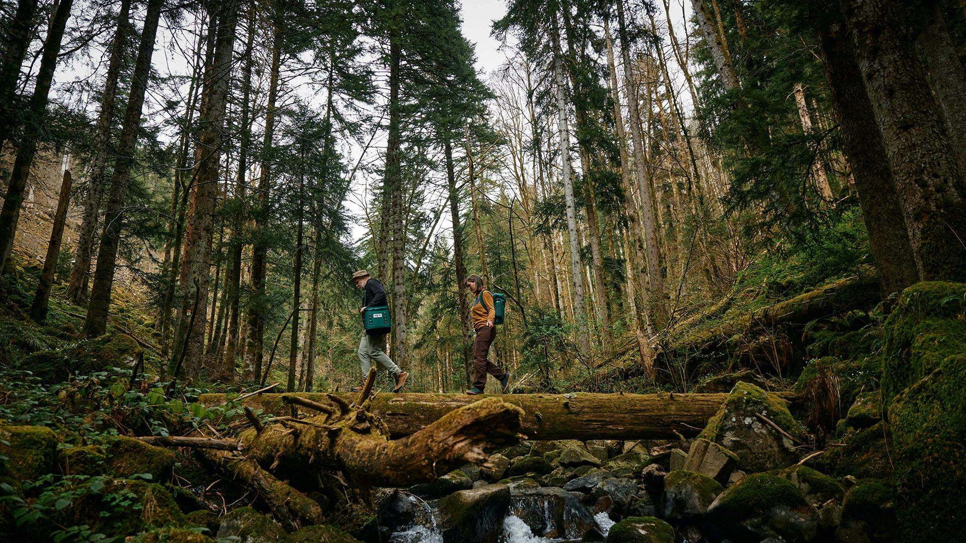 Black Forest Video Fallback