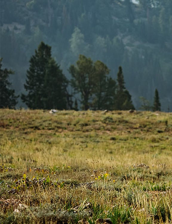 YETI Ambassador Remi Warren